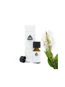 Kajeput wild