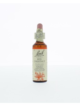 Red chestnut/rode kastanje