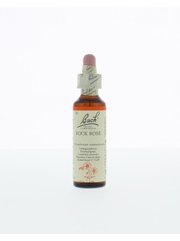 Rock rose/zonneroosje