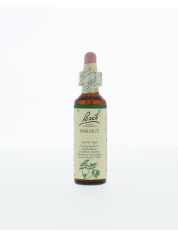 Walnut/walnoot