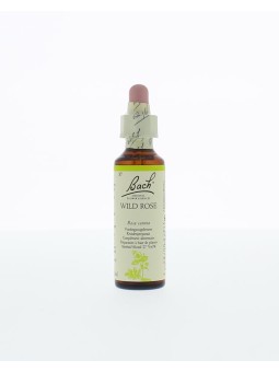 Wild rose/hondsroos