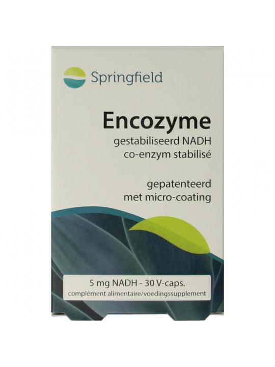 Springfield Encozyme NADH 5mg