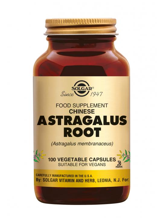 Astragalus Root