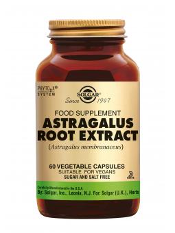 Astragalus Root Extract
