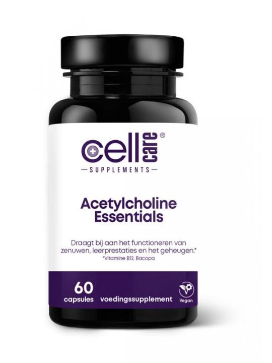 Acetylcholine essentials