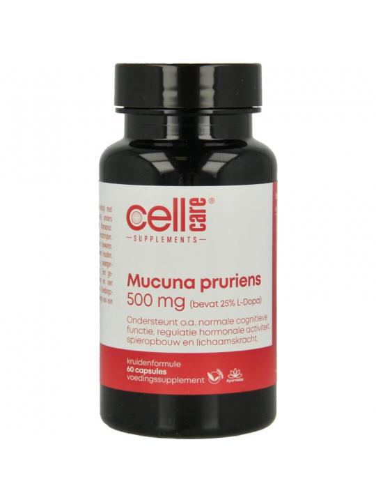 Mucuna pruriens 500mg (25% L-dopa)