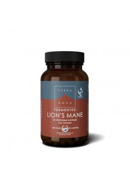 Gefermenteerde lion's mane pruikzwam
