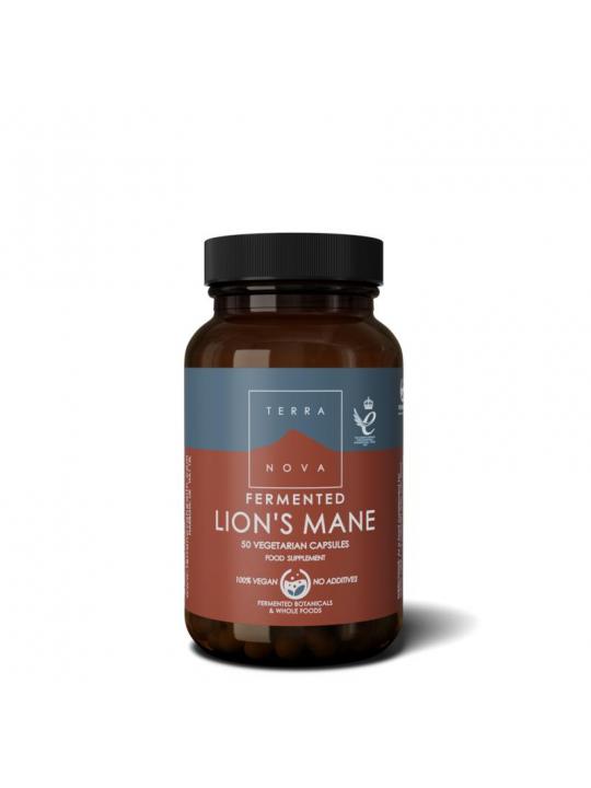 Gefermenteerde lion's mane pruikzwam