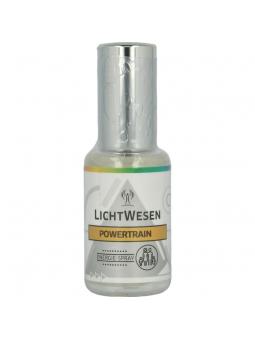 Lichtwesen Power train facial tonic spray