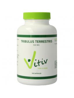 Vitiv Tribulus terrestris