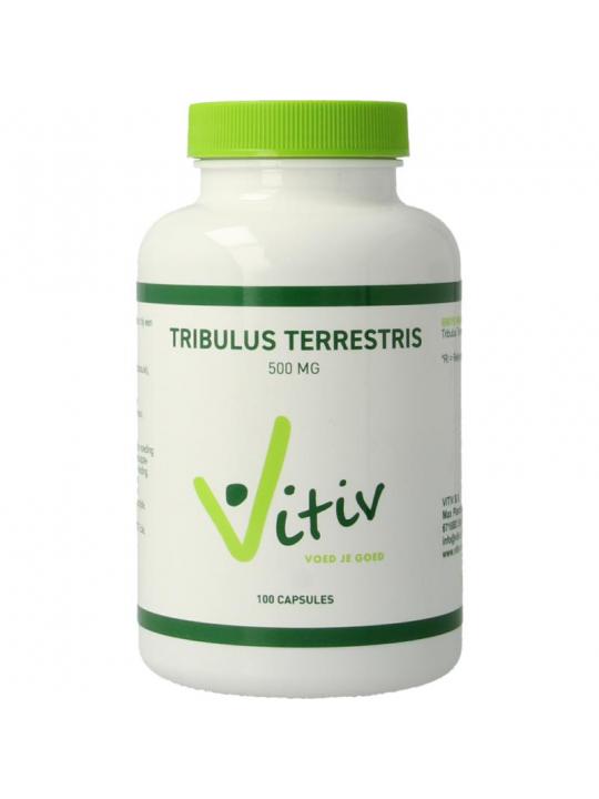 Vitiv Tribulus terrestris