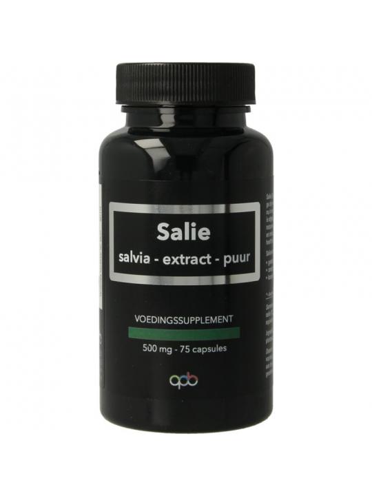 Apb Holland salie puur 500mg