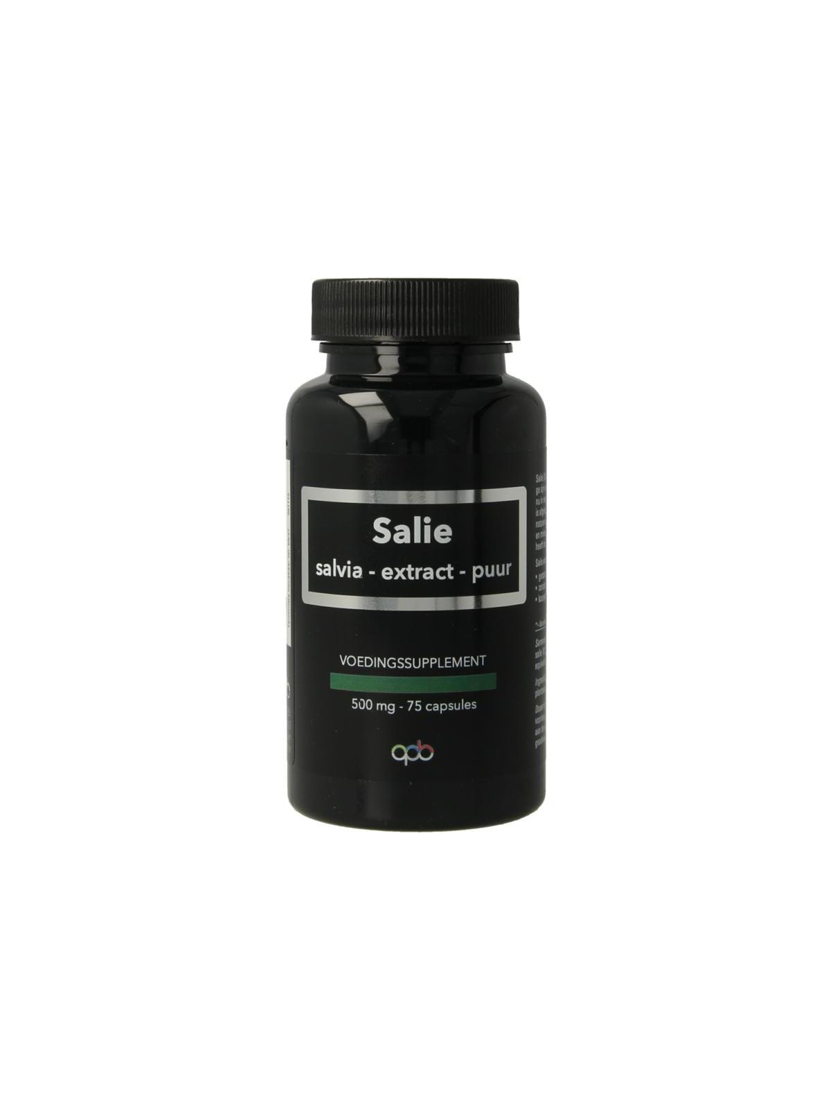 Apb Holland salie puur 500mg
