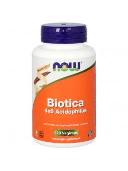 NOW biotica 4x6 acidophilus