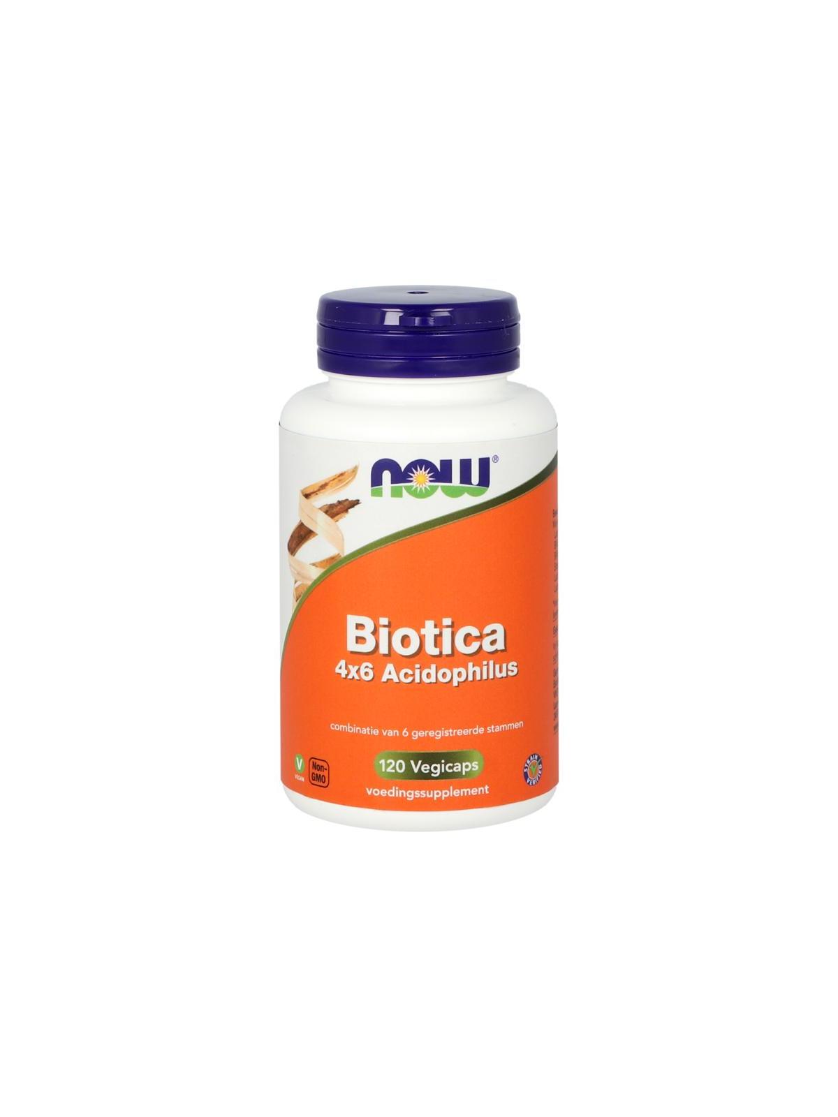 NOW biotica 4x6 acidophilus