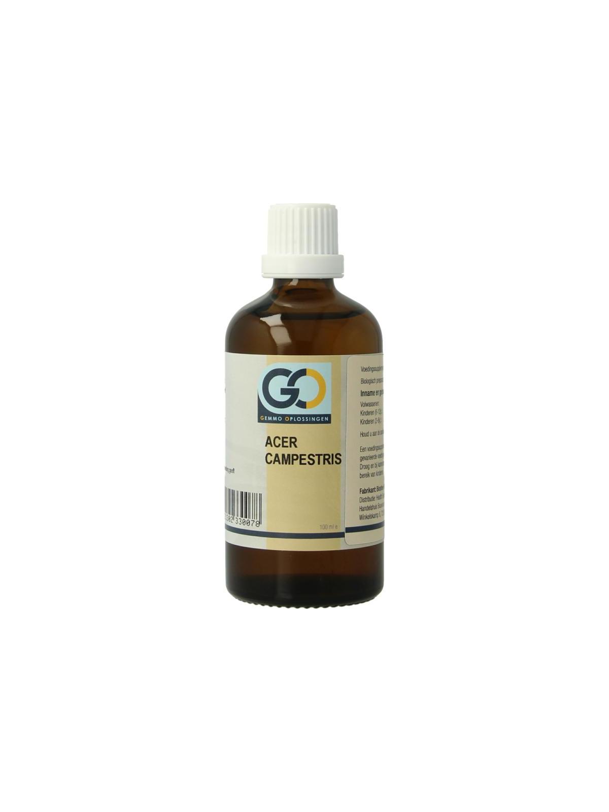 GO GO acer campestris bio