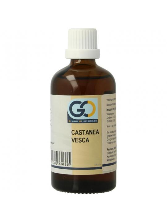 GO GO castanea vesca bio