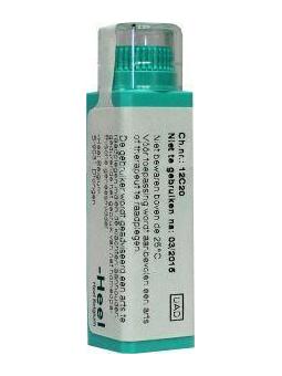 Juglans regia 10MK