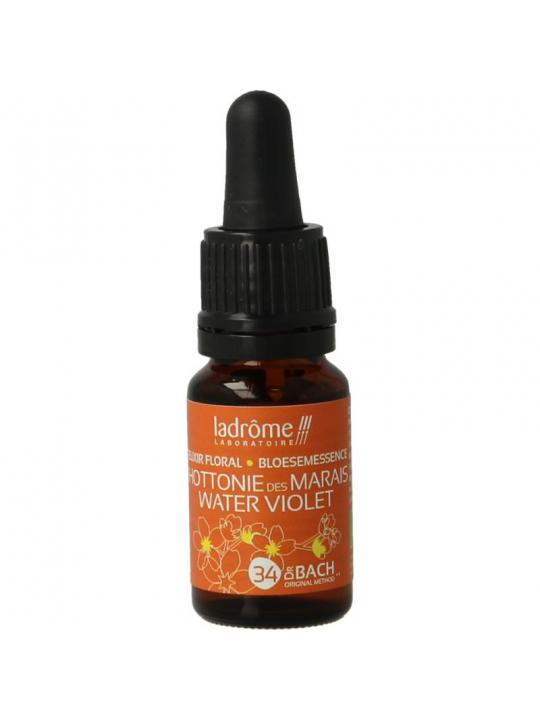 Ladrome water violet bio