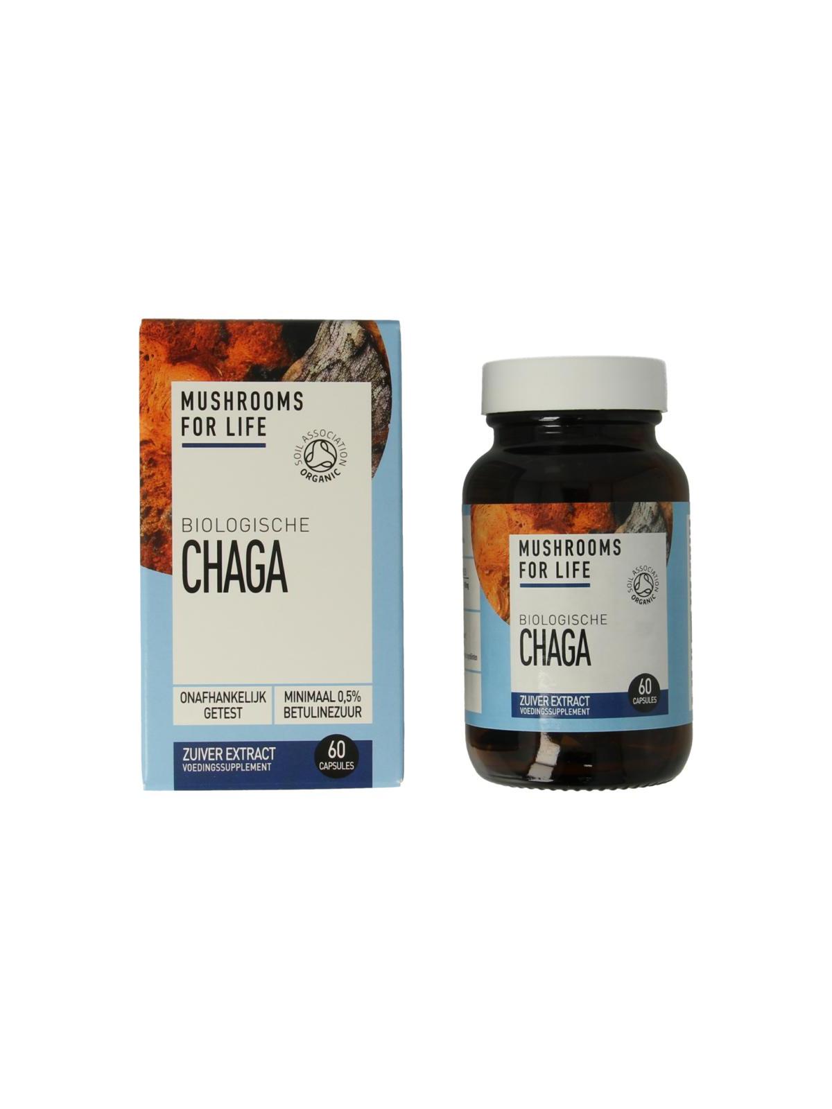 Mushrooms F Life Chaga bio