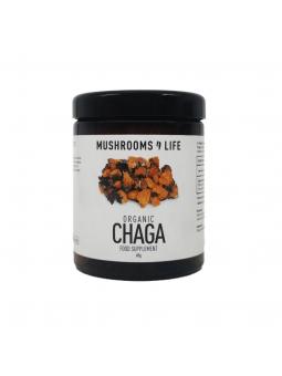 Mushrooms F Life Chaga poeder bio