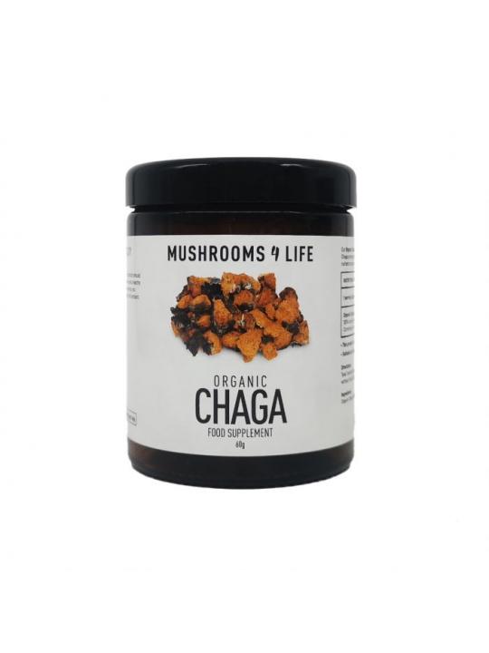Mushrooms F Life Chaga poeder bio