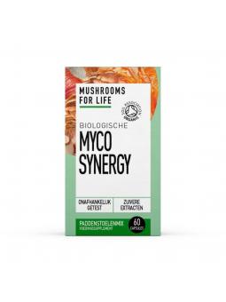 Mushrooms F Life Myco synergy bio