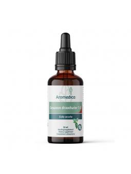 Aromedica Gewoon draadwier 1:5