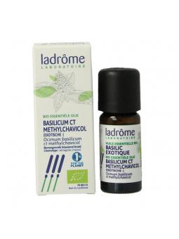 Ladrome basilicum ct methylchavicol