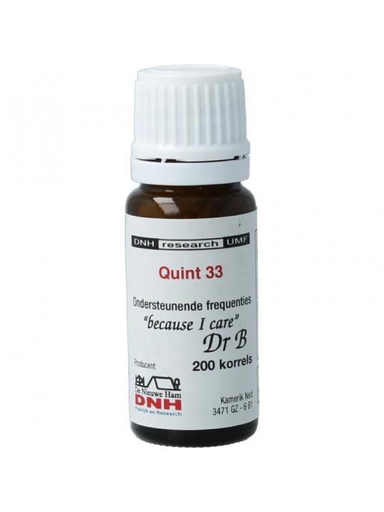 DNH Quint 33