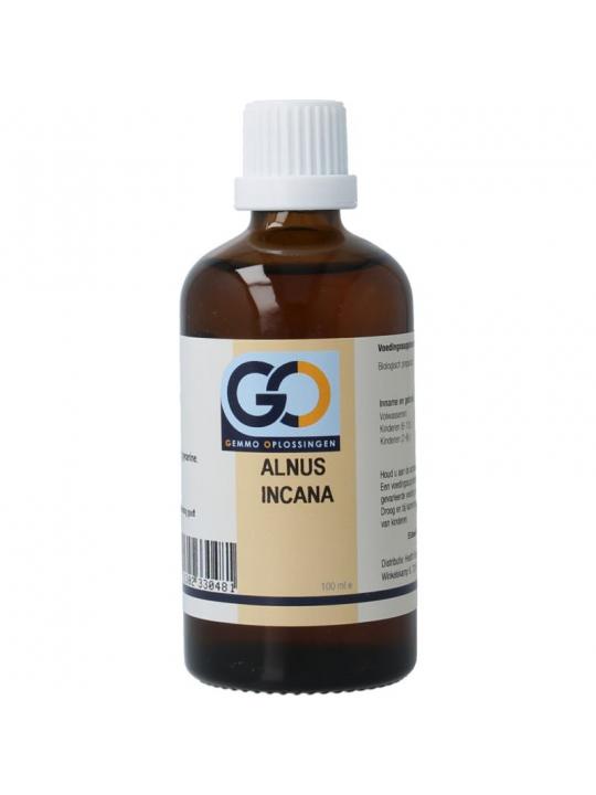 GO GO alnus incana bio