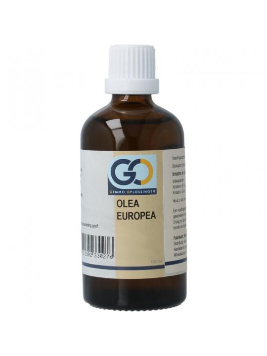 GO GO olea europea