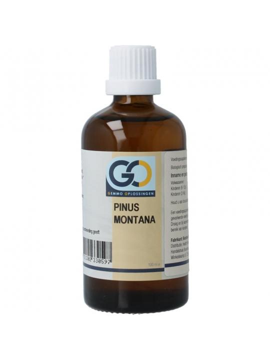 GO GO pinus montana bio