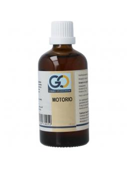 GO GO motorio bio