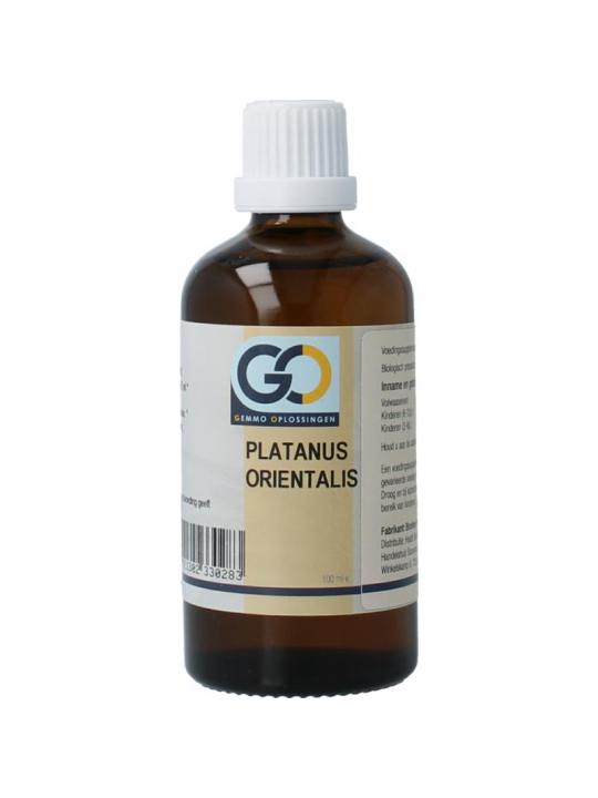 GO GO platanus orientalis bio