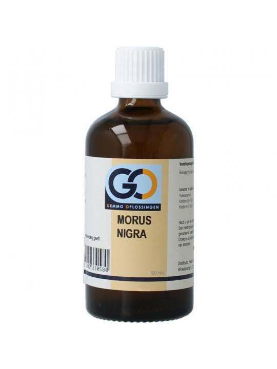 GO Morus nigra bio