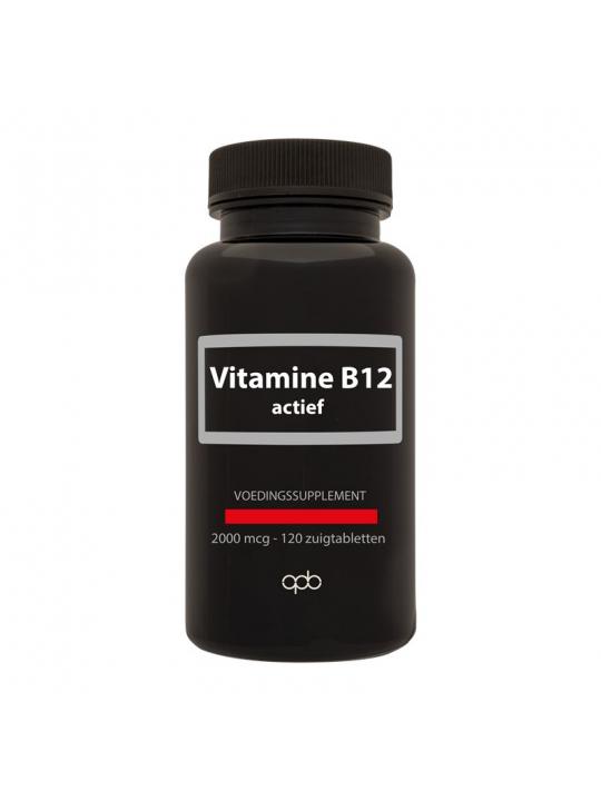 Apb Holland vit b 12 actief zuigt 2000mcg