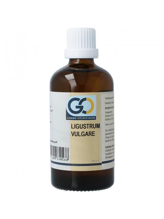 GO GO ligustrum vulgare bio