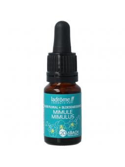 Ladrome mimulus bio