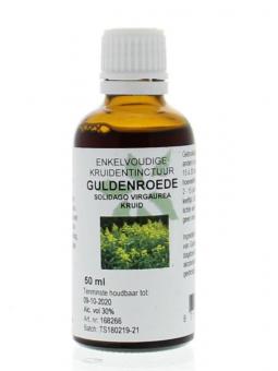solidago virg/guldenroede