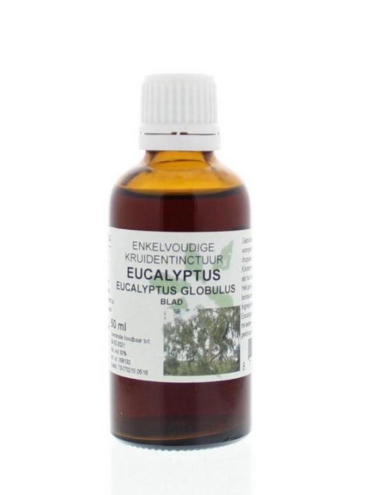 Eucalyptus globulus folia tinctuur