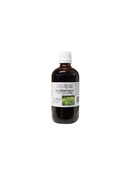 solidago virg/guldenroede