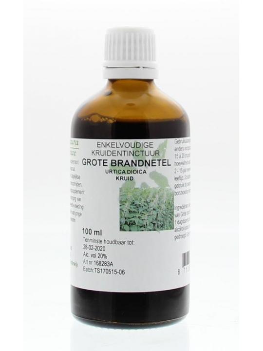urtica dioica/brandnetel kruid