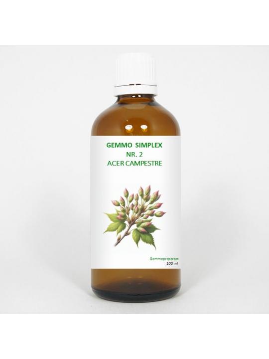 Balance Pharma Gemmo simplex 2 acer campestre