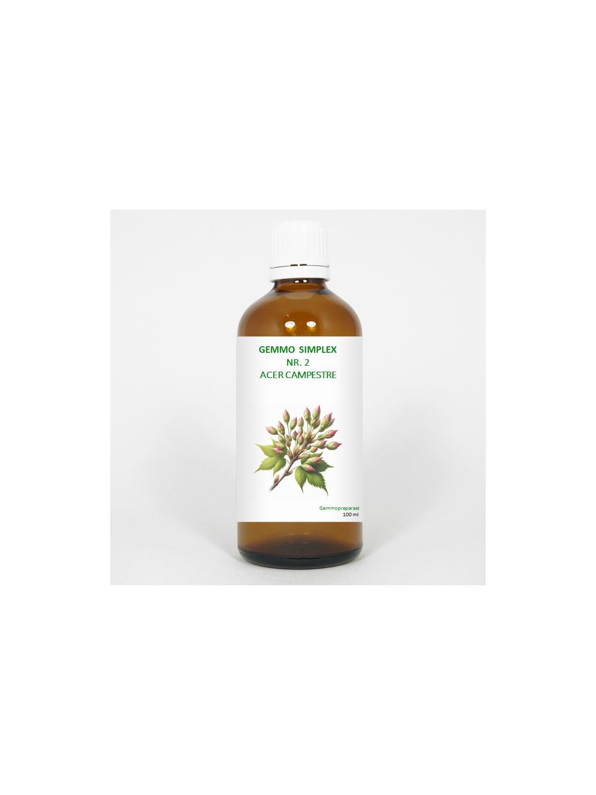Balance Pharma Gemmo simplex 2 acer campestre