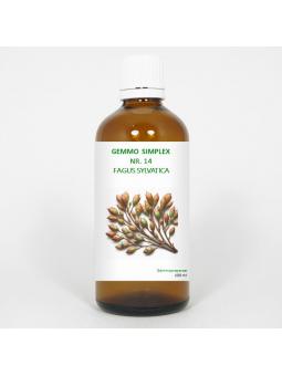 Balance Pharma gemmo simpl 14 fagus sylvatica