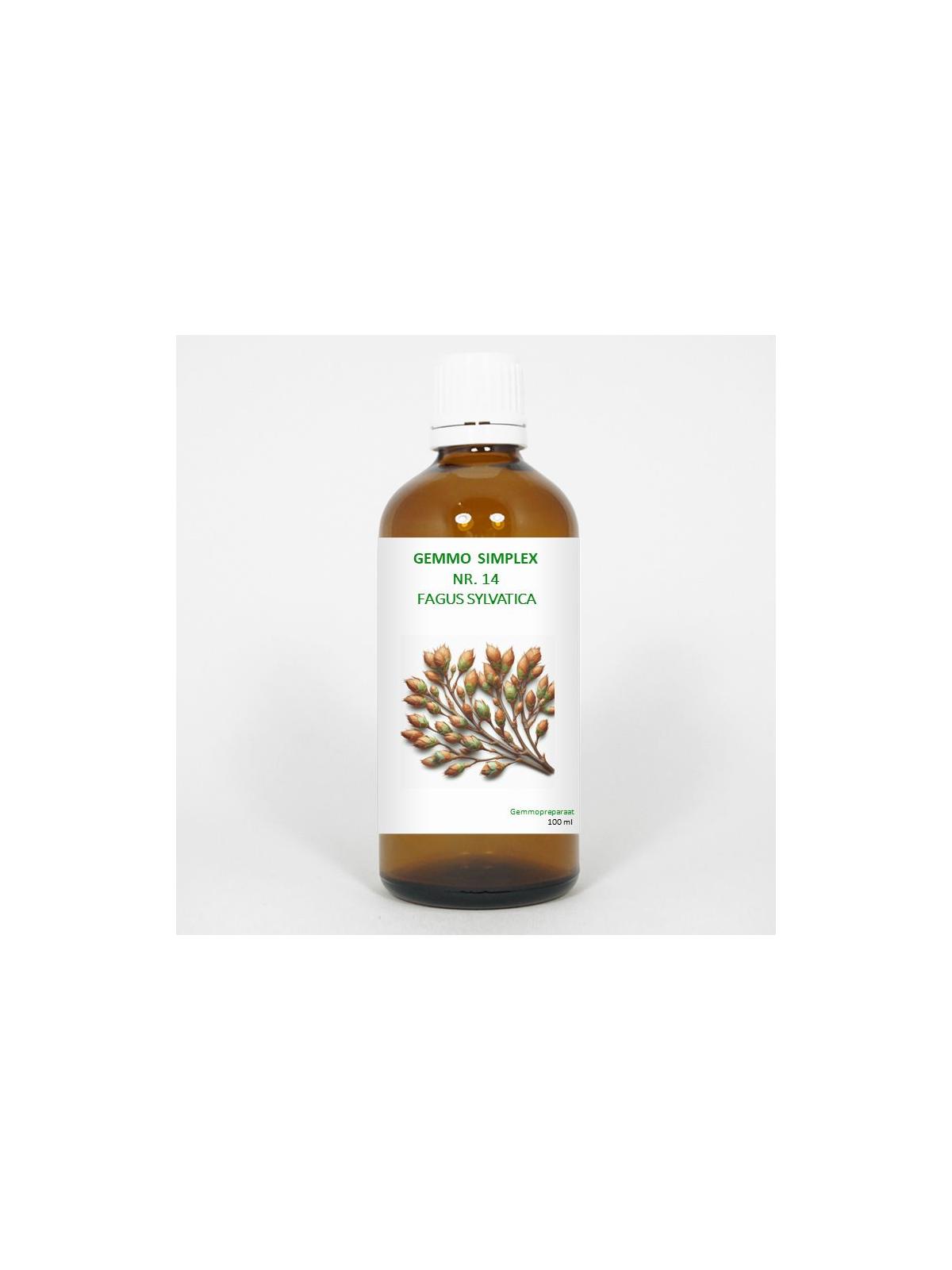 Balance Pharma gemmo simpl 14 fagus sylvatica