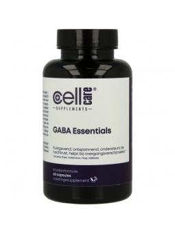 Gaba essentials