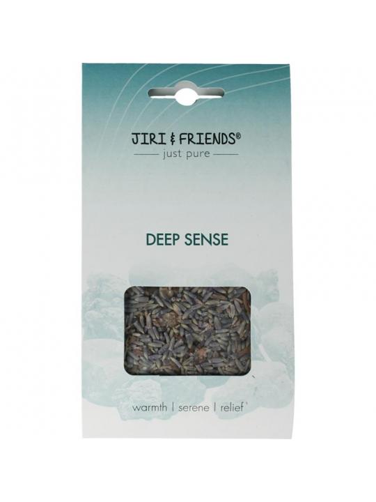 Jiri & Friends jiri&fr harswierook deep sense
