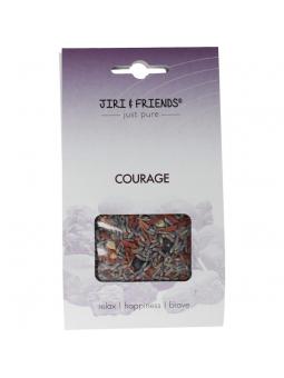 Jiri & Friends jiri&fr harswierook courage